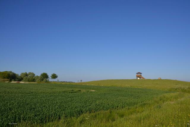 Aussichtsturm "Kiekut" am Rande des Vogelschutzgebietes Katinger Watt (Foto: Katja Woidtke)