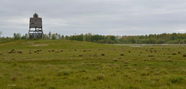 Aussichtsturm am Katinger Priel (Foto: Katja Woidtke)