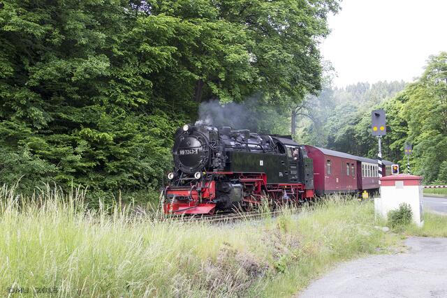 Einfahrt in den Bahnhof Mägdesprung.