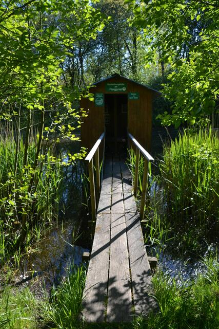 Eisvogelhütte am Ringpriel im Katinger Watt (Foto: Katja Woidtke)