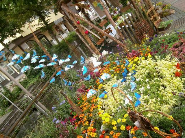 Blumenlust 2015 - Der "Geheimnisvolle Hoigata" war leider nicht in voller Pracht mit dem Fotoapparat einzufangen.