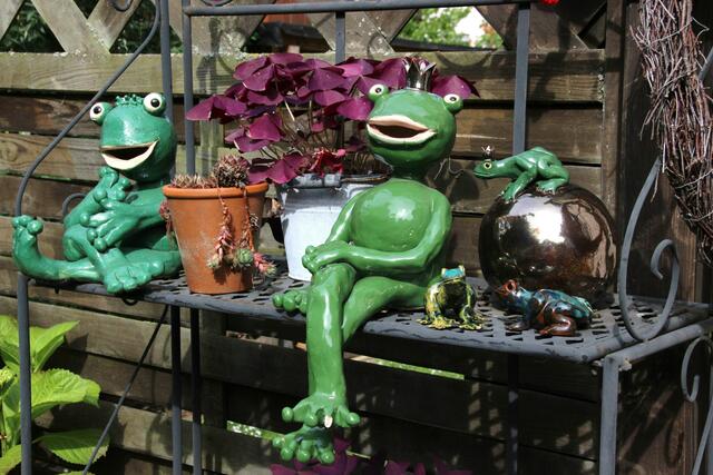 Meine Froschfamilie