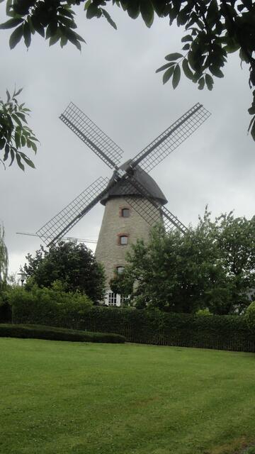 Windmühle in Laer