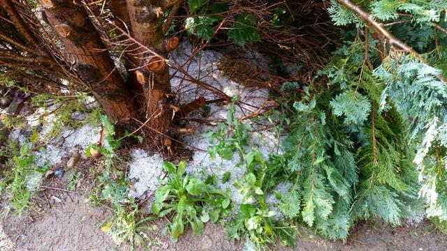 Teilweise eine Schneelandschaft