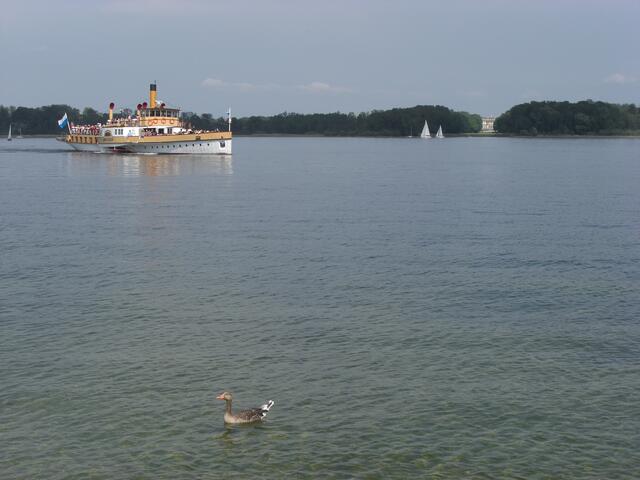 Ein Blick zur Herreninsel