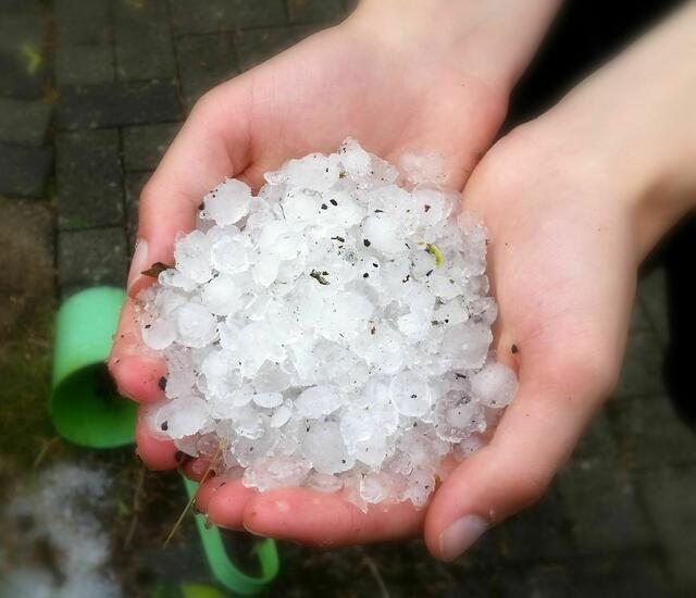 Davon gab es eine ganze Menge