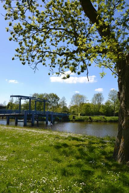 Blaue Brücke in Friedrichstadt (Foto: Katja Woidtke)
