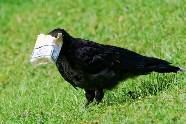 "Nach dem Essen sollst du rauchen oder ...!"