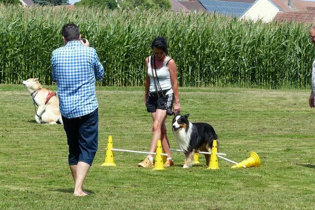 Hier beginnt der Spaßparkur... der "Streber" darf anfangen ....