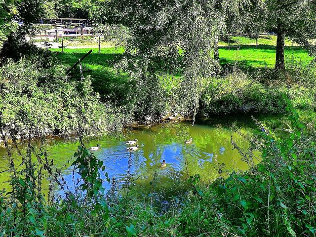 südlich von der Berger-Mühle.
