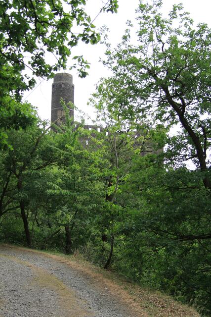 Beim Aufgang kommt bald die Burg in den Blick