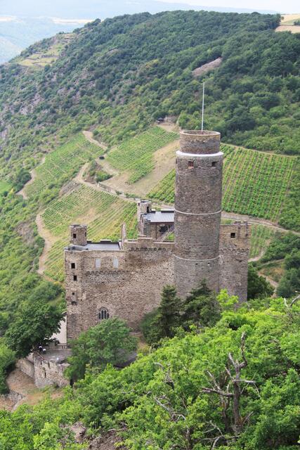 Burg Maus mit Weinberger