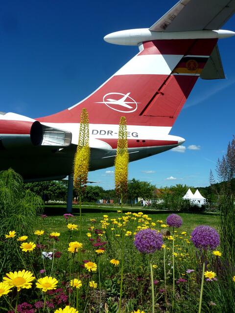 Für diese Perspektive bin ich in die Knie gegangen.