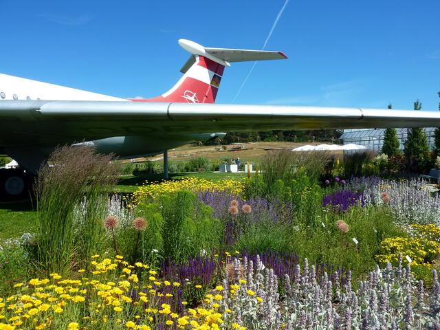 Blumenpracht unter dem Flügel 1 und Blick auf den Gollenberg