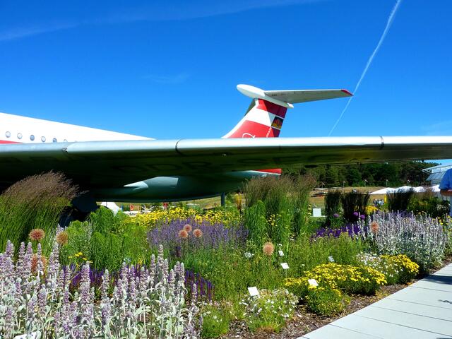 Blumenpracht unter dem Flügel 2