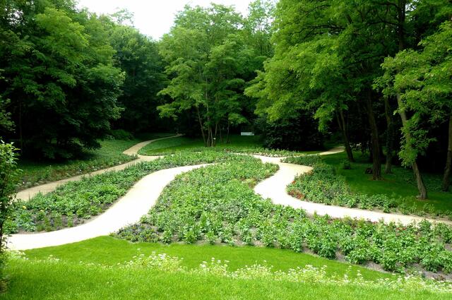 Verschlungene Wege führen in den Wald.