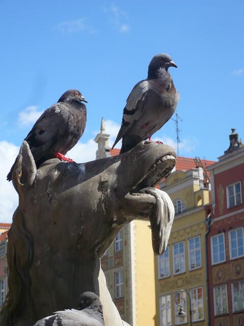 Ruheplatz 3 von 4