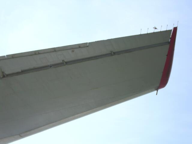 Der Vogel weiß, dass der große nicht mehr fliegt. :-)