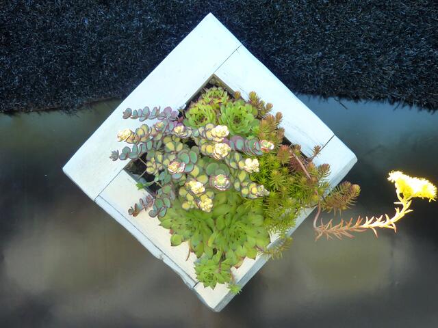 Ein Wandbild mit Pflanzen