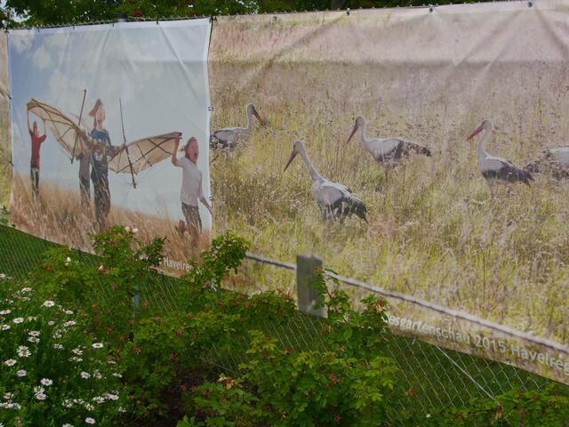 Lilienthal ließ sich als Flugpionier von den Störchen inspirieren.