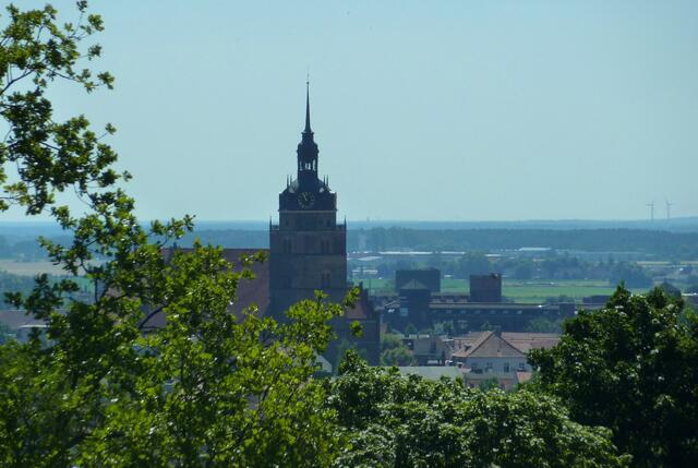 Blick vom Weinberg auf die Stadt