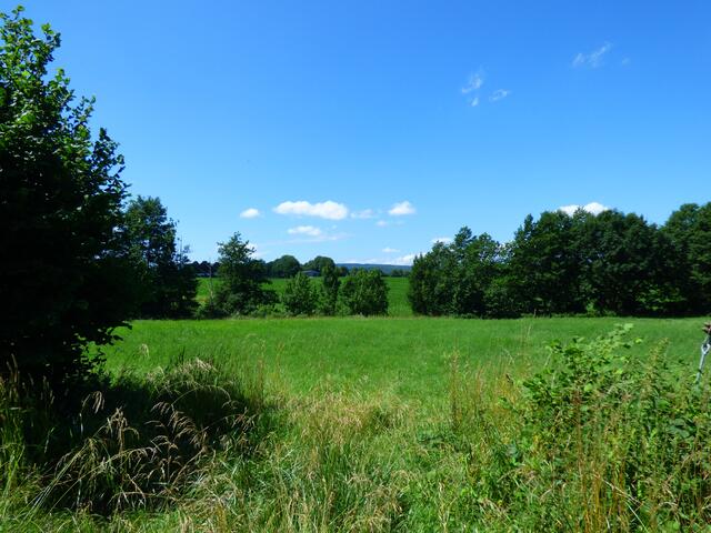 Grüne Wiesen und blauer Himmel