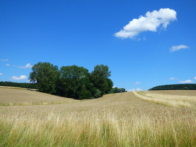 Bald zu Hause