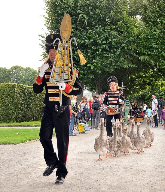 Im Watschelschritt  marsch: Eine Gänsekapelle aus den Niederlanden zieht durch den Großen Garten.