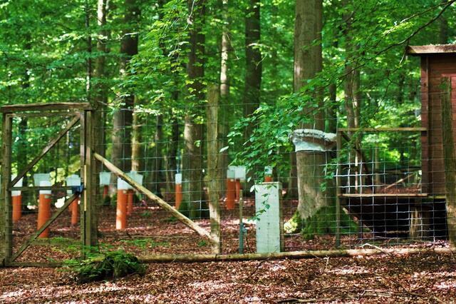 Eine weitere "Landeseinrichtung"