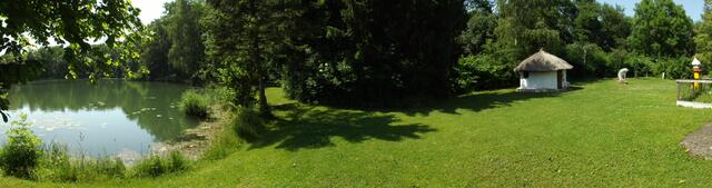 Birkenried