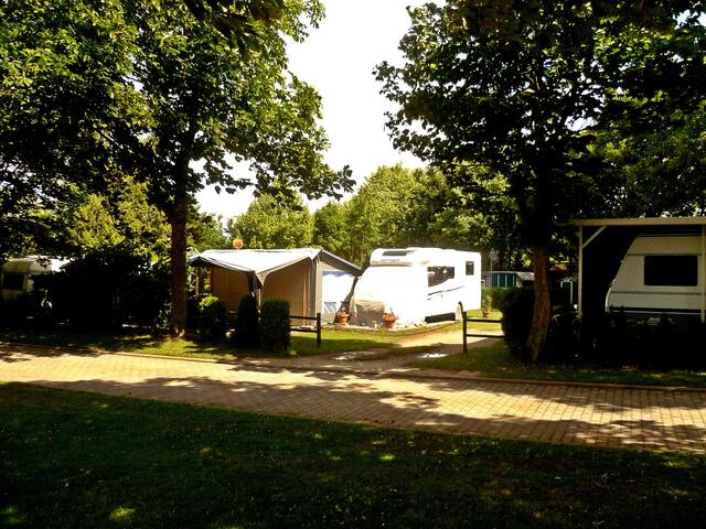 Sommer,Sonne,Spaß am Hassesee in Roßbach - Juli 2015 !