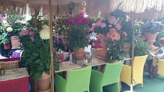 habt ihr so was schon gesehen???