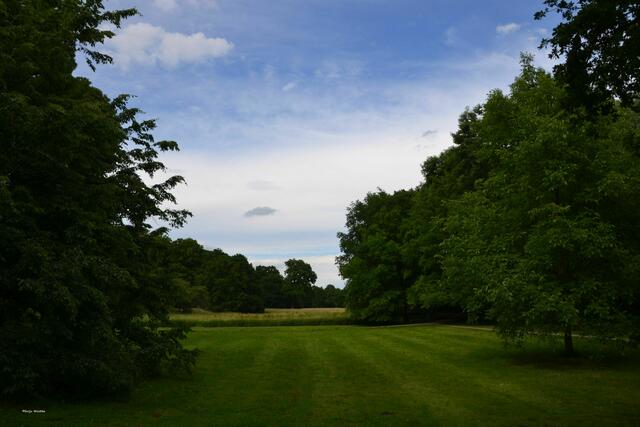 Bewusst gepflanzte Baumgruppen prägen das Bild eines Landschaftsgartens (Foto: Katja Woidtke)