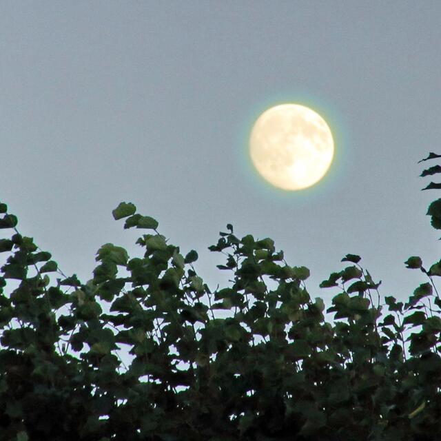Der stürmische Wind hat den Himmel aber immer wieder frei gepustet. Bester, leicht tiefgekühlter, Mondschein.
