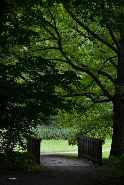Idylle im Hinüberschen Garten (Foto: Katja Woidtke)
