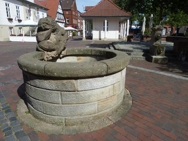 Der Frosch kam gerade aus dem Brunnen.