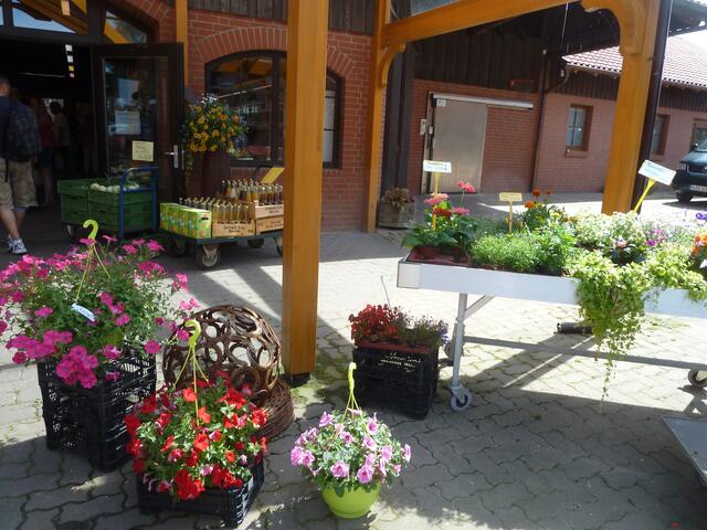 Blumen gibt es hier auch.
