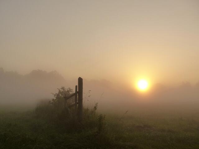 Immer intensiver setzen sich die schnell an Kraft gewinnenden Strahlen der Sonne an diesem zauberhaften Morgen  gegen die fast undurchdringliche Nebelwand durch.