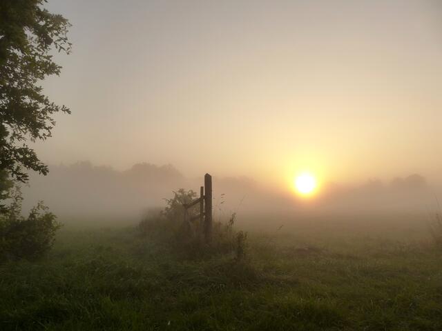 EINE MALERISCHE MORGENSTIMMUNG AM ORTSEINGANG BURGWEDELS! Die Sonne bahnt sich ihren Weg durch den Nebel.