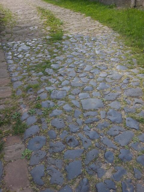 teures Kopfsteinpflaster , bald hat die Natur den Weg zurück