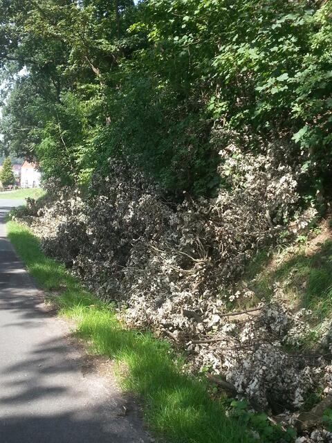 kein schöner Anblick