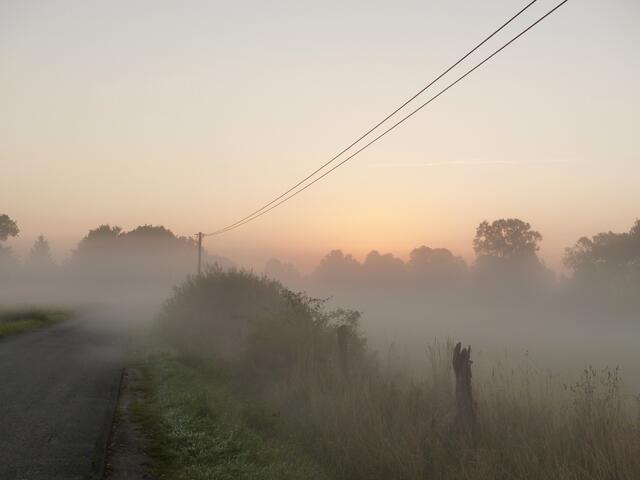 Ein geheimnisvoller Weg in den Nebel. Wohin führt er uns? Am Ende erscheint die aufgehende Sonne. In dieser geheimnisvollen Phase zwischen Tag und Traum sehen wir vom Nebel umhüllt manch märchenhafte Gestalt. So scheint uns mit etwas Phantasie hier ein von den Witterungseinflüssen der Natur geschnitzter Engel auf dem hölzernen Weidepfosten in den Tag zu begleiten...(Bitte die Lupenfunktion benutzen).