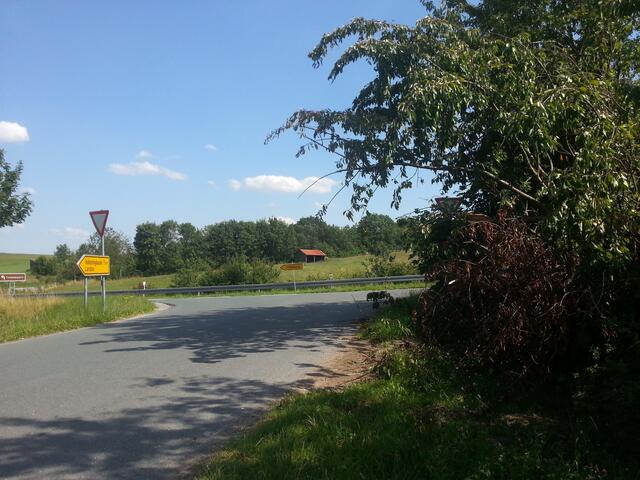 abgebrochene Kirsche hängt über die Strasse - Richtung Wolfhagen/Freienhagen