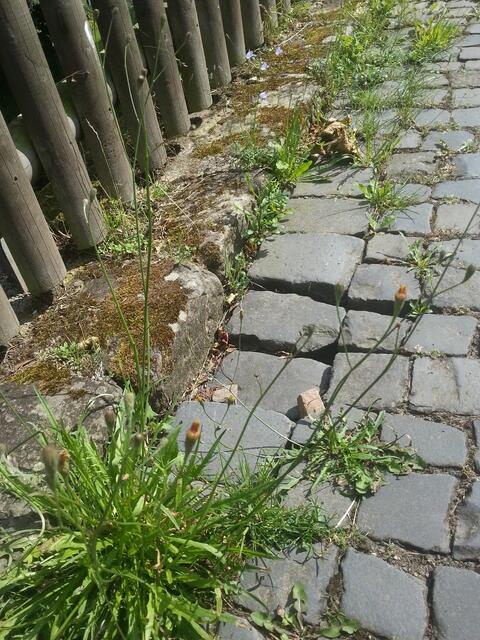 ...nochmal Mauerstrasse