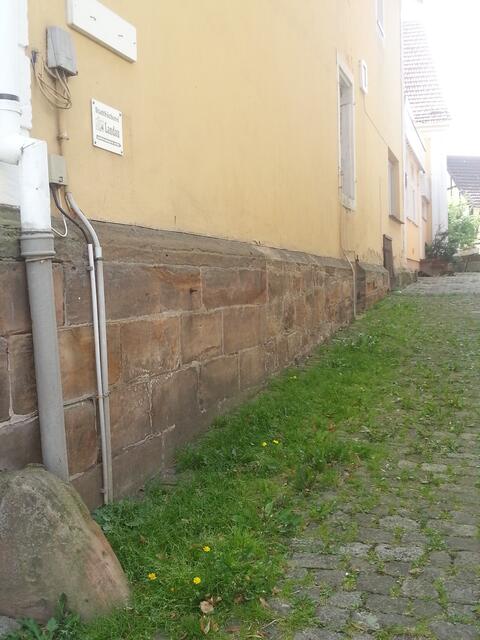 der Pfad zur Landauer Stadtbücherei - man sieht die Hundescheiße jetzt kaum noch