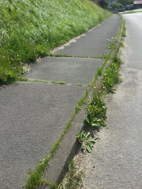 ....irgendwie ist Wasser eingedrungen und hat den Unterbau der Strasse un des Gehweges unterspült