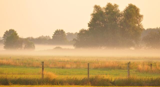 Morgennebel um ca. 6.30 Uhr