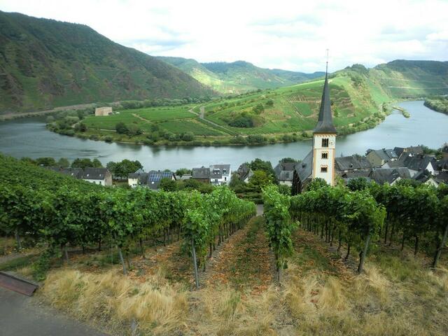 Nach mühsamem Anstieg wird man mit diesem Blick auf die Moselschleife Bremm belohnt.