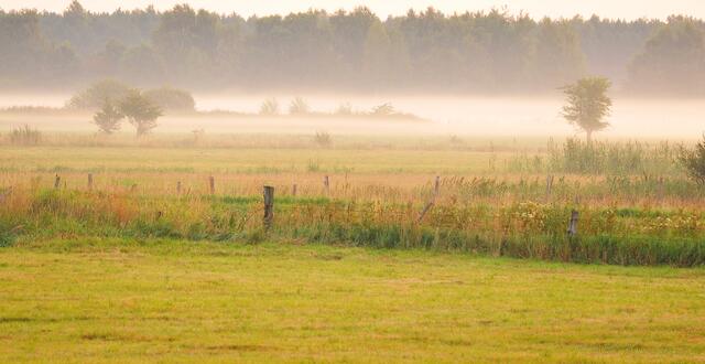 Das ist der Nebel, mit schon ein bisschen Sonnenlicht