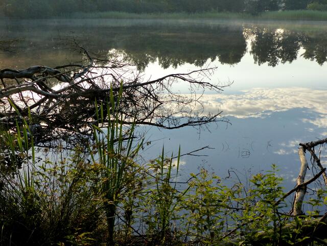 Blick zum jenseitigen Ufer.